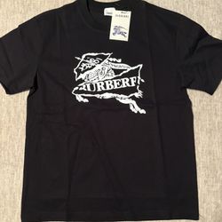 Burberry Shirts