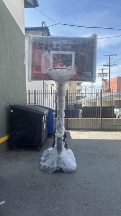 Professional NBA All Star Basketball Rim W/ Hoop
