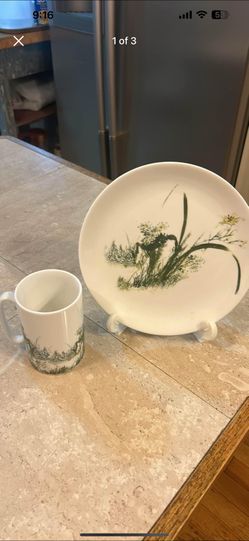 Hankook Super Strong China Plate and Cup