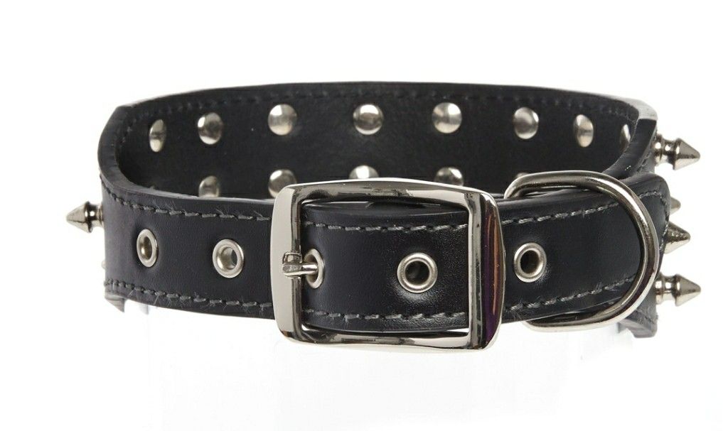 Leather Dog Collar with Spikes