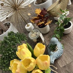 Many Plants And Home Decorations! Excellent Condition 