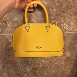 Mini Coach Bag