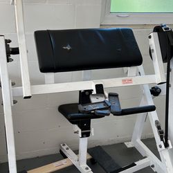 Hammer strength online seated bicep