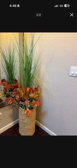 Plant with woven basket