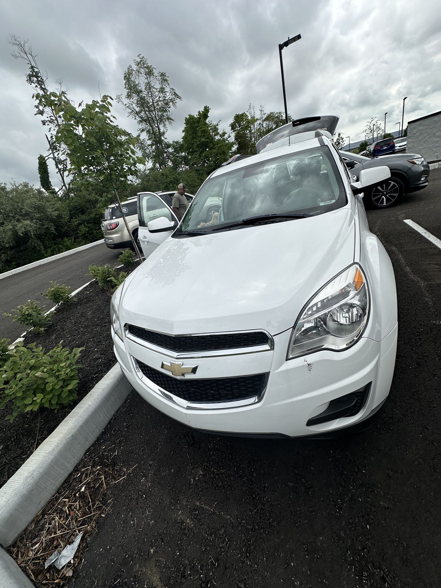 2013 Chevrolet Equinox