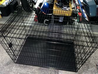 Dog Kennel