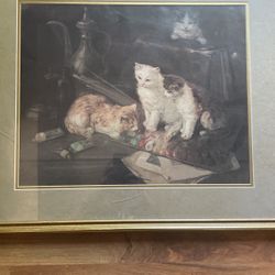 Very Rare Kitten Portrait 40.00 Obo