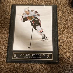 Artemi Panarin Rookie Of The Year Frame