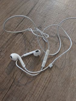 Apple wired earbuds
