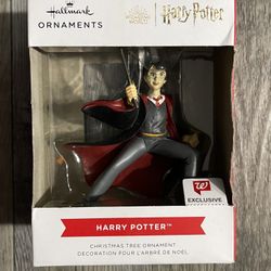 2022 Hallmark Harry Potter w/Wand Wizarding World Ornament Walgreens Exclusive 