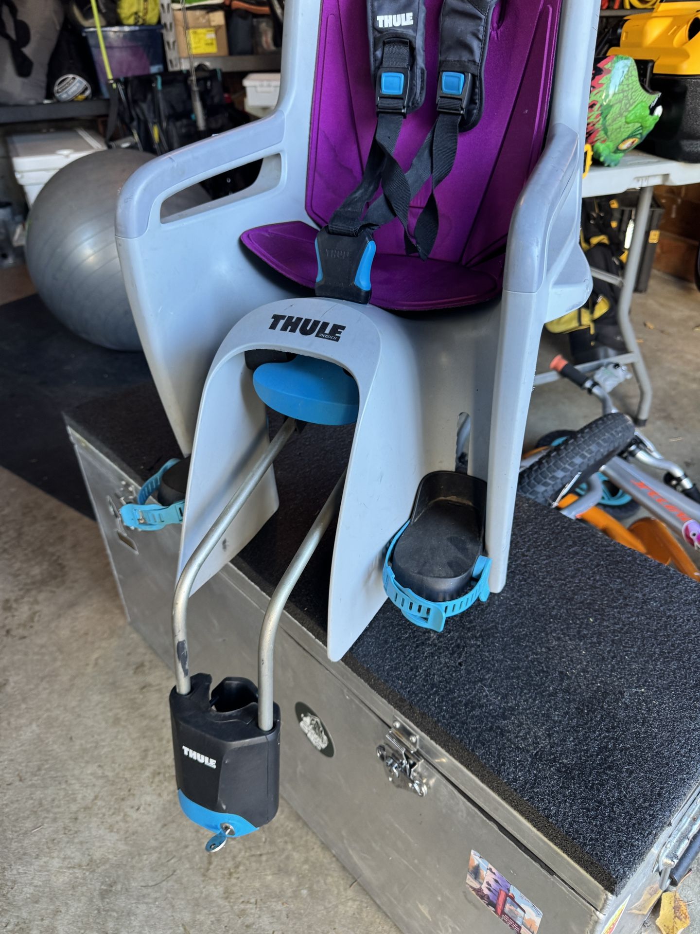 Thule Ride along Bike Seat 