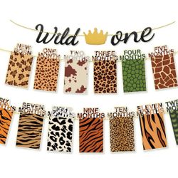 Wild One Picture Banner