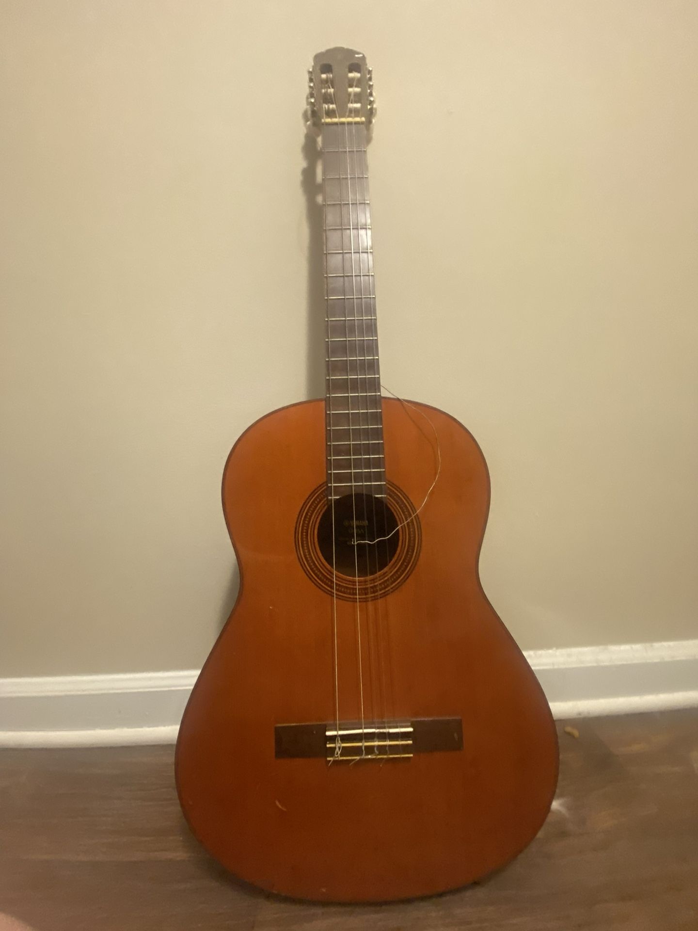 Guitar