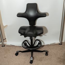 Capisco Forward Leaning Office Saddle Chair