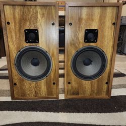 Hed W-10's Two Way Rare Floor Standing Speaker's (1979)