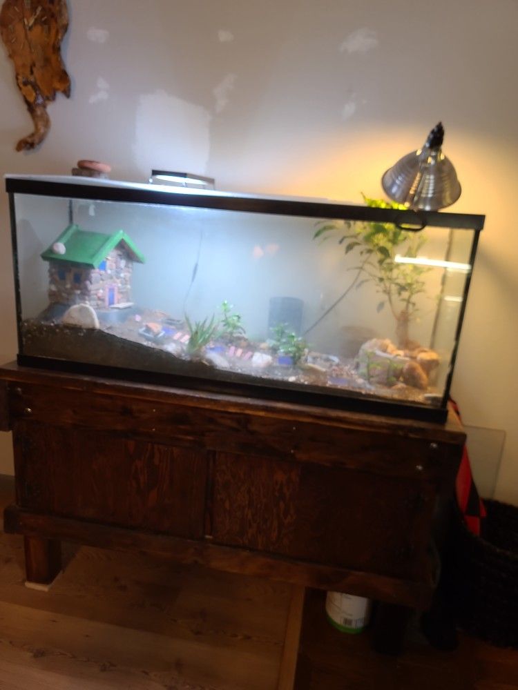 50 Gallon Fish Tank/terrarium With Solid Wooden Stand