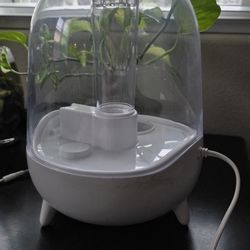 Humidifier