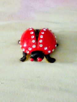 Lady bug trinket/pill box