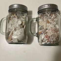 Mixed Shells In Jars 