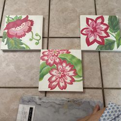 Set Of 3 Paints  $15