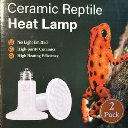 Reptile Lamp