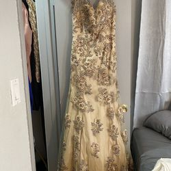 Champagne Prom Dress 