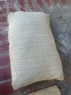 Potterybarn  Pillow Cover and insert