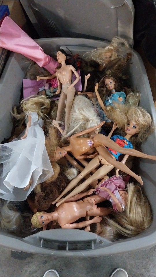 Wide Range Of Naked Barbies