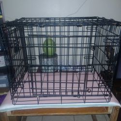Wire Dog Cage