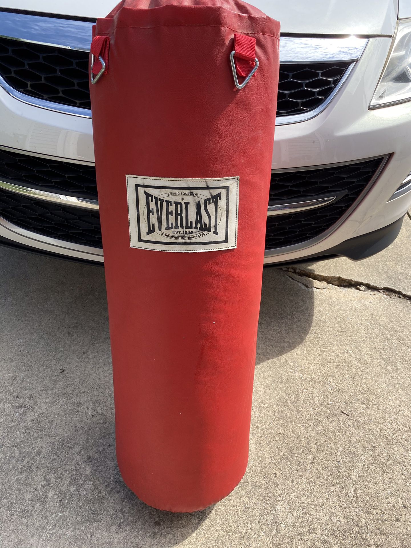 Everlast Full Size Punching Bag