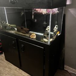 75 Gallon Fish Tank 300 OBO