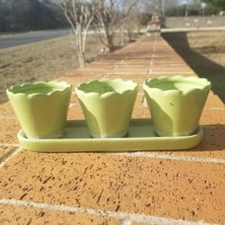 Mini Plant Pots