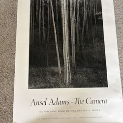 Vintage Ansel Adams “The Camera” poster. Classic black and white aspen forest shot, 36 by 24 inches, excellent condition.