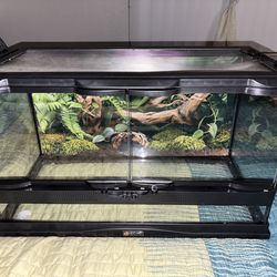 10 gallon reptile tank
