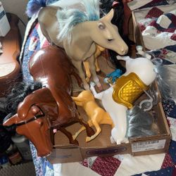 Horses For Kids Tons Of Fun 