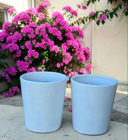 Clay pots