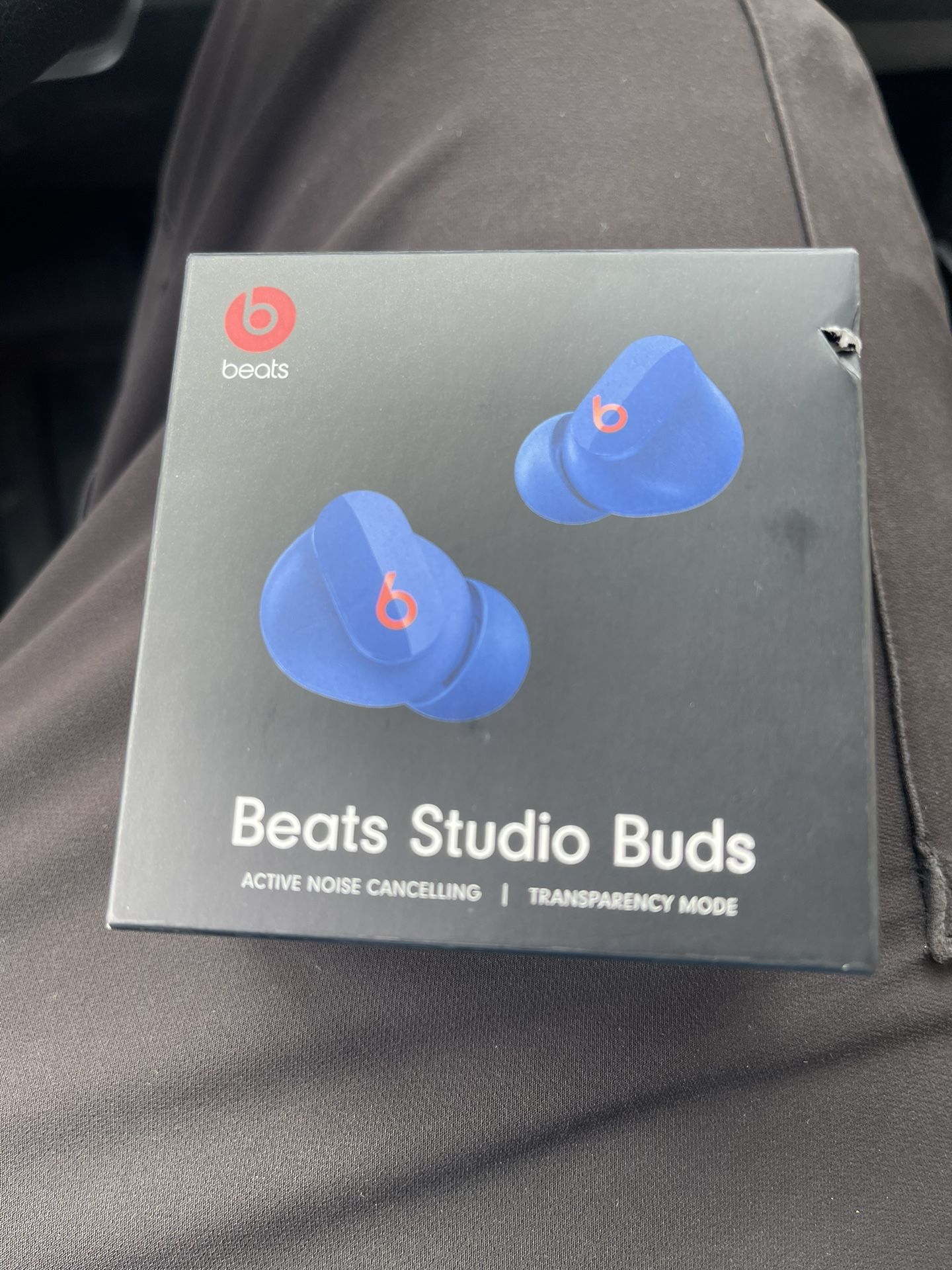  Beats studio Buds (True Wireless)