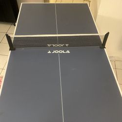 Ping Pong Table 