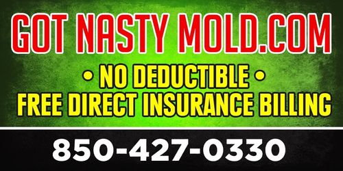Mold removal