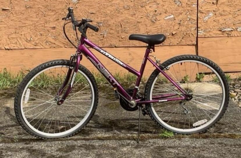 Next Elevation Mountain Bike (needs work)