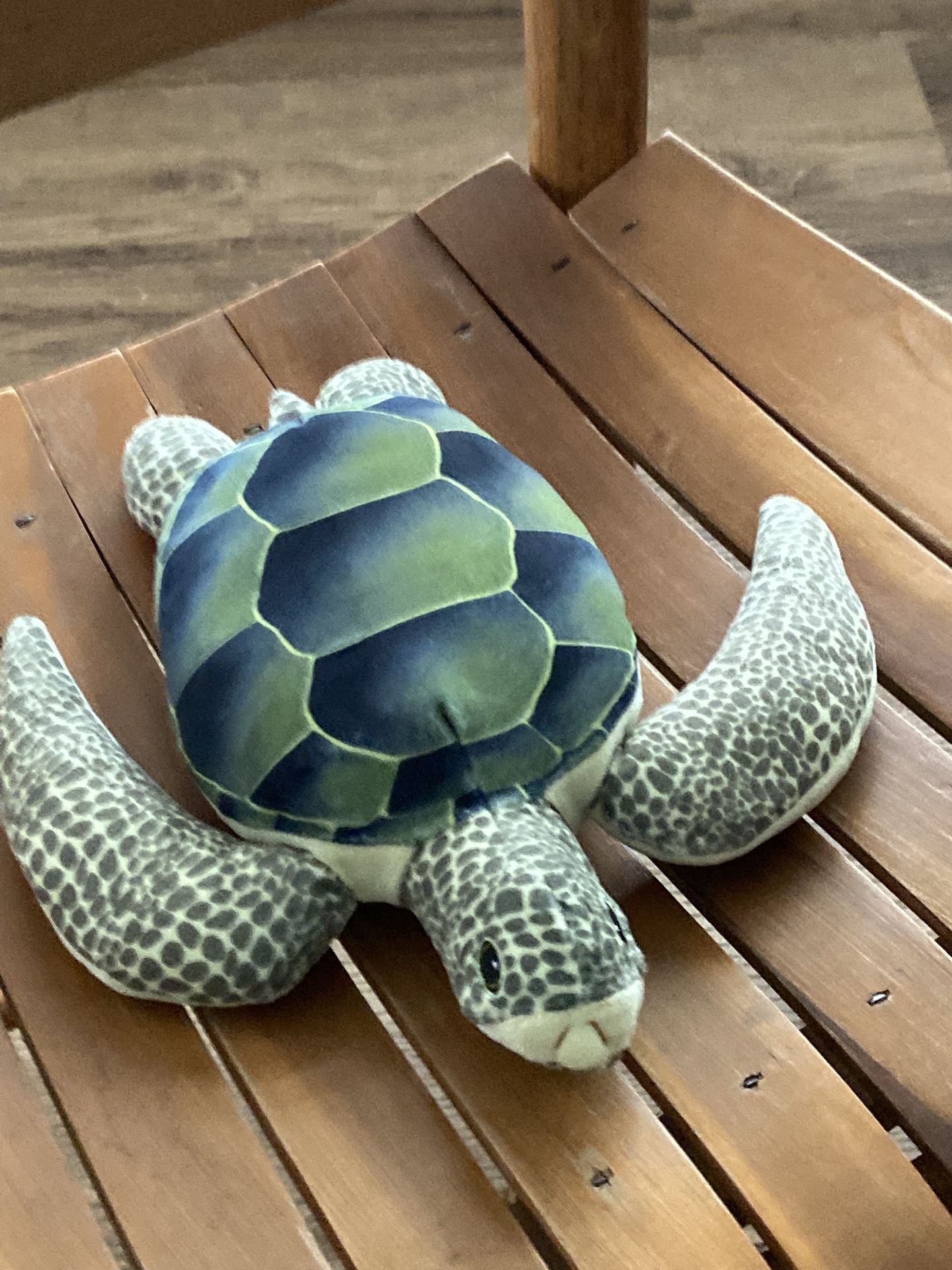 Turtle