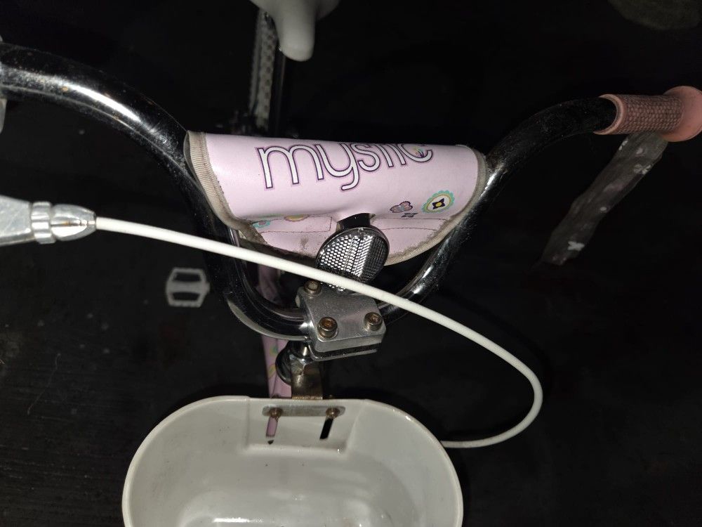 Trek Mystic Bike Rim 20