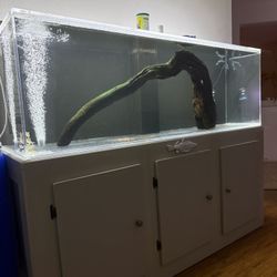 Acrylic 180g Fish Tank 