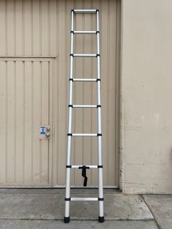 Telescopic Ladder - 9ft (3m)