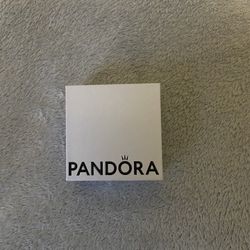 Pandora charm