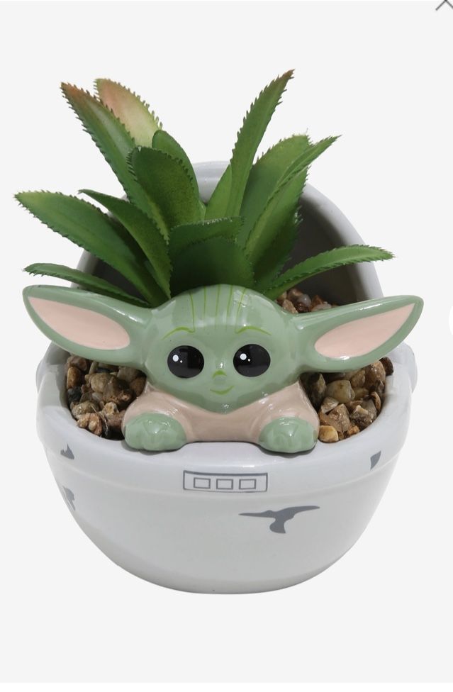 Baby yoda the child succulent plant