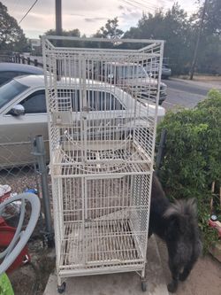 Beautiful bird cage