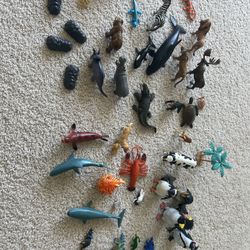 Animal Figure Collection