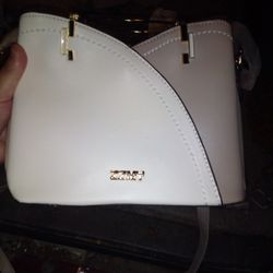 Zzmy Purse 