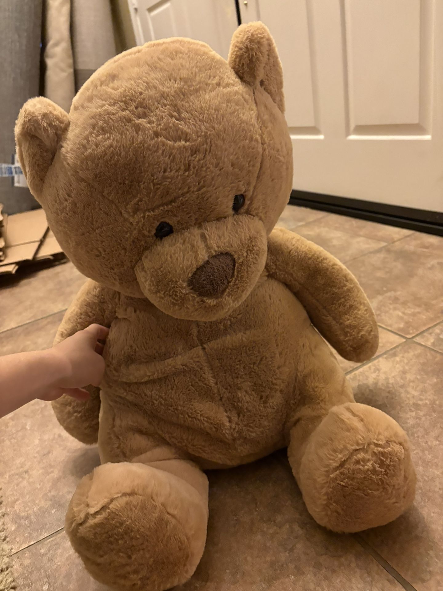 Large Teddy Bear